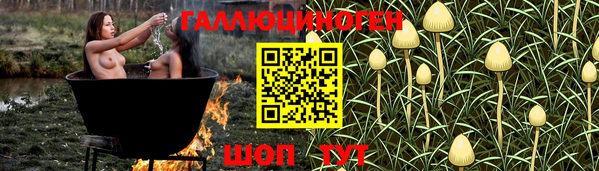 Псилоцибиновые грибы Magic Shrooms  Вход с VPN  Ахтубинск  Галлюциногенные грибы MAGIC MUSHROOMS 