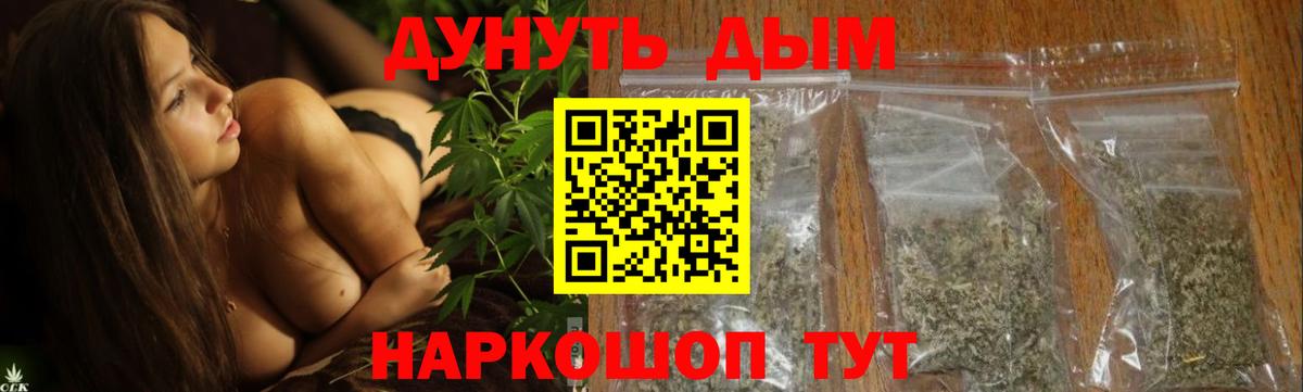 Каннабис план  Канабис тримм  Ахтубинск  Канабис сатива  Вход с VPN 
